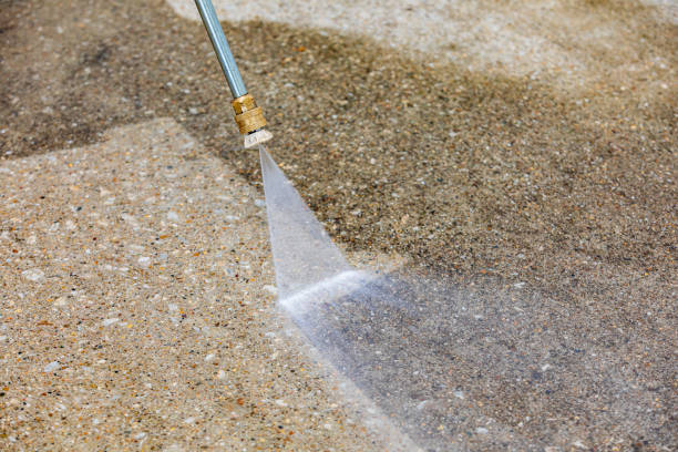 Best Soft Washing  in Rehobeth, AL